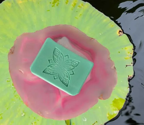 AMAZON SOAP - Image 3
