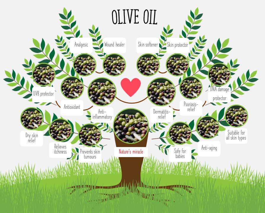 Tree of Olive Oil